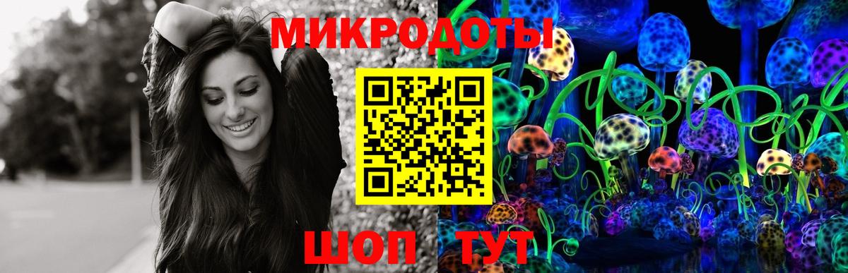 Находка  хочу   Вход с VPN  Галлюциногенные грибы Psilocybe 